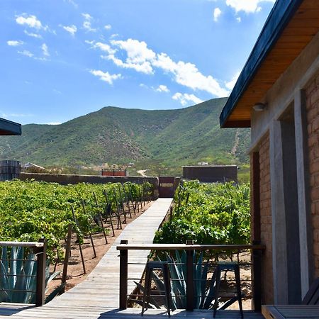 Bed and Breakfast Uvauva Eco-Retreat Valle de Guadalupe Exterior foto