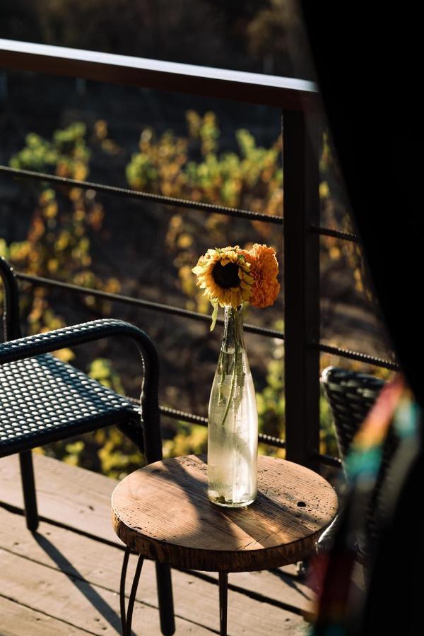 Bed and Breakfast Uvauva Eco-Retreat Valle de Guadalupe Exterior foto