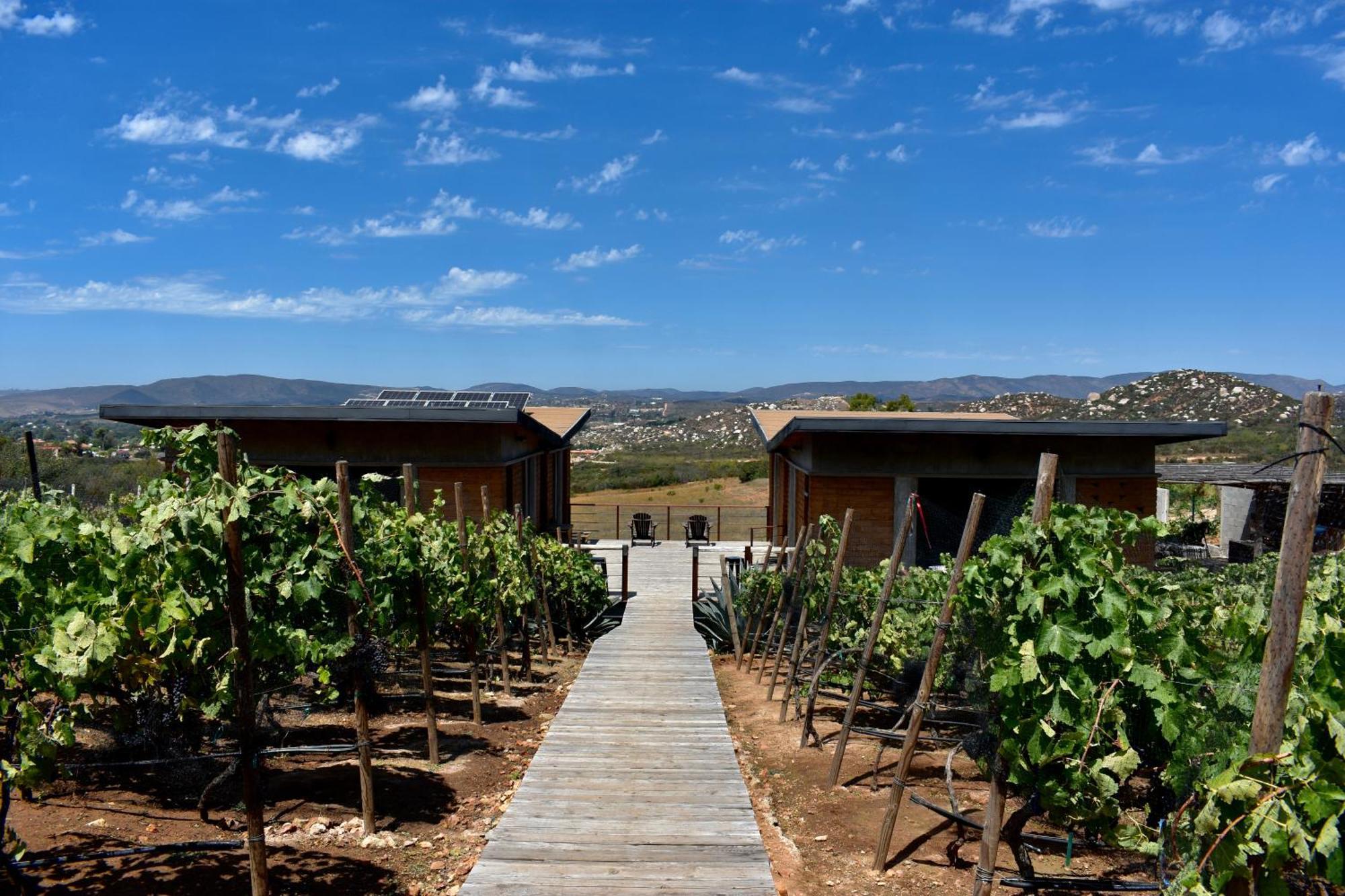 Bed and Breakfast Uvauva Eco-Retreat Valle de Guadalupe Exterior foto
